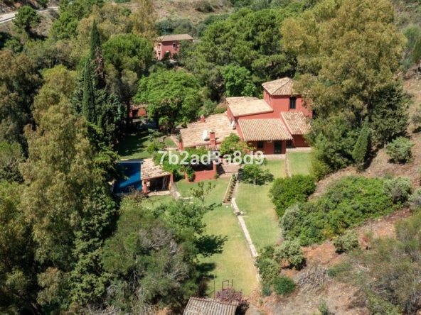 R4359763 01