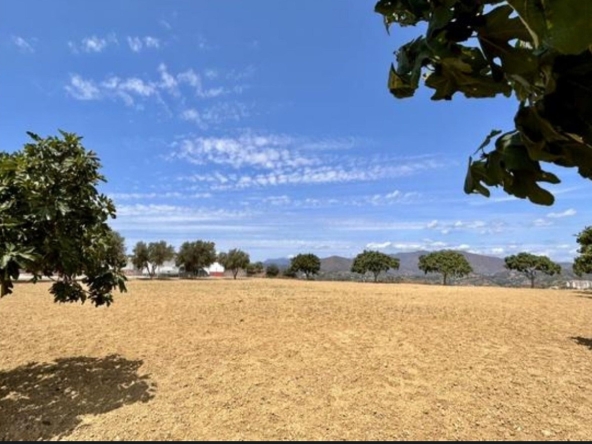 TR 0048 01