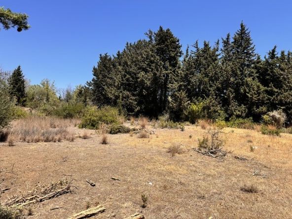 R4770388 01