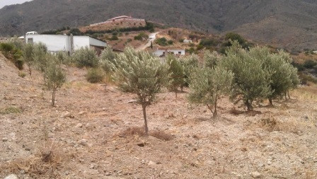 R2983151 01