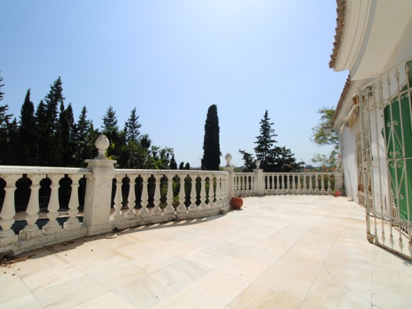 R3674639 01