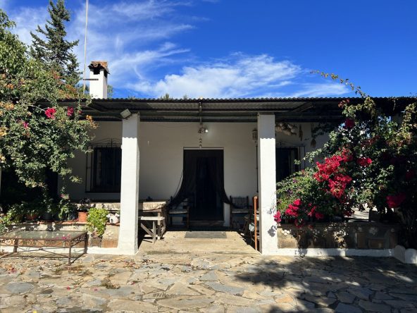 R4453384 01