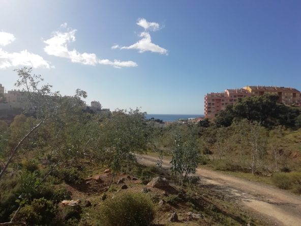 R3386473 01