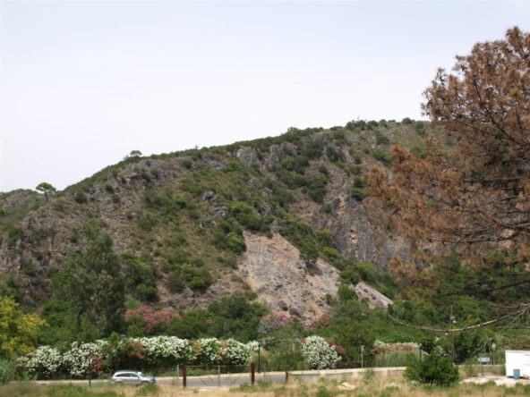 R3736078 01