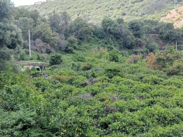 R4747498 01