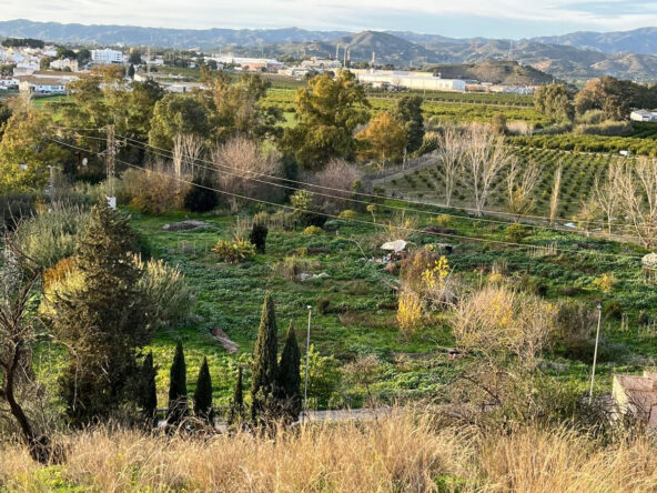 R4915204 01