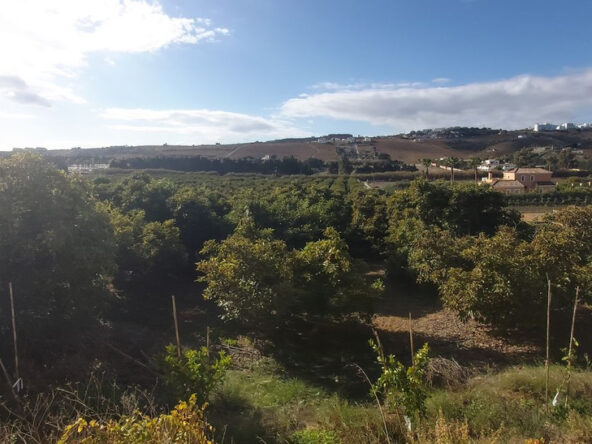 R4938754 01