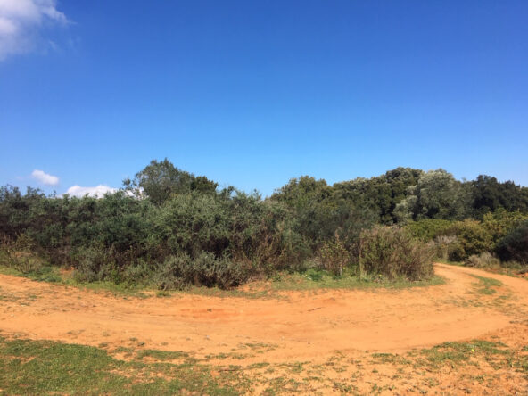 R3568339 01
