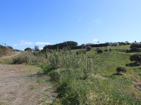 R3623102 01