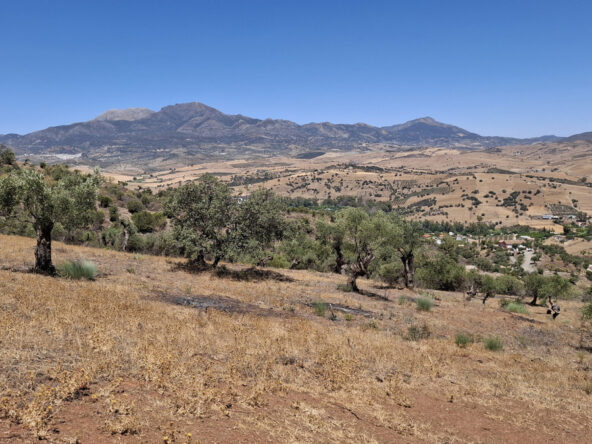 BEMP091 01