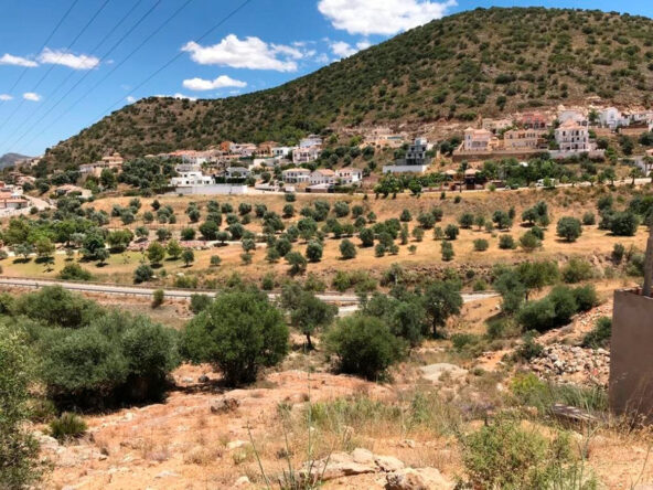 P 0356 01