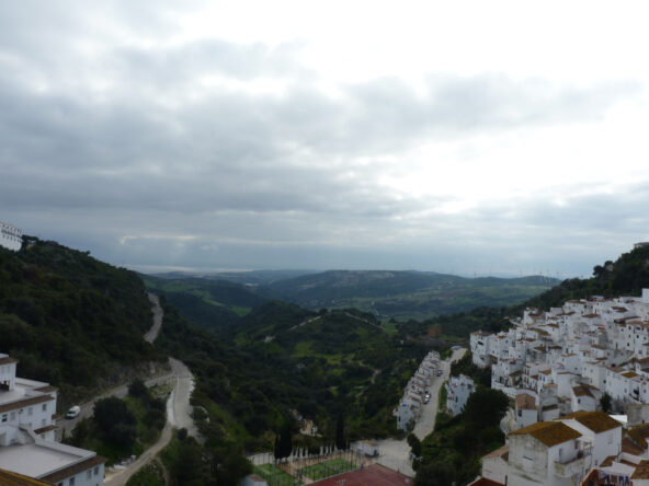R3336544 01