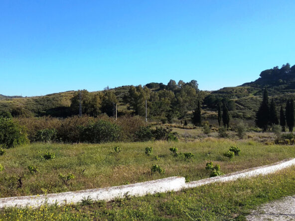 R3836239 01