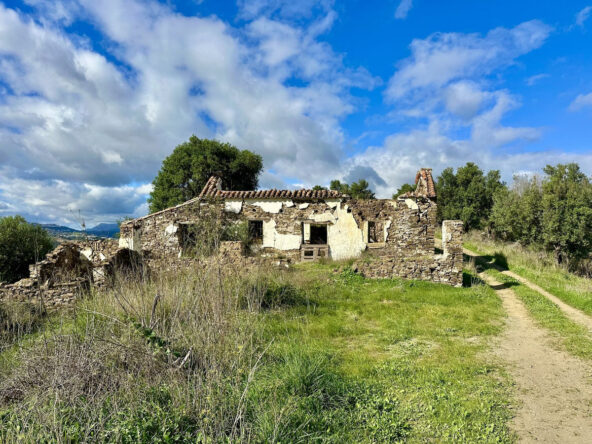 R4964269 01