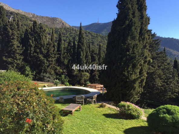 R4979593 01