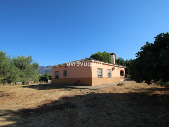 R4102438 01