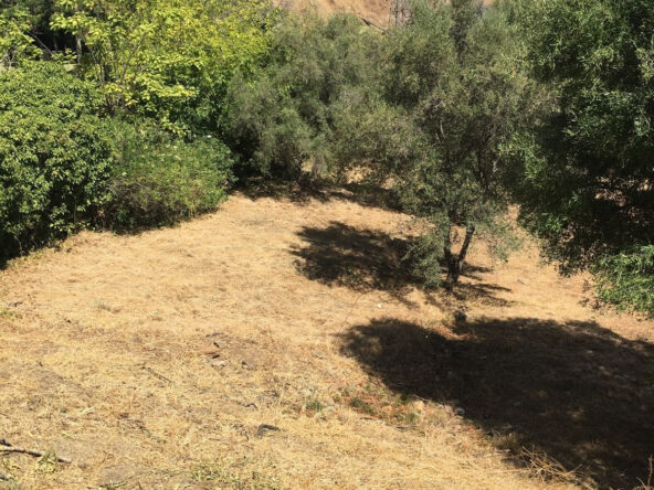 R5016985 01