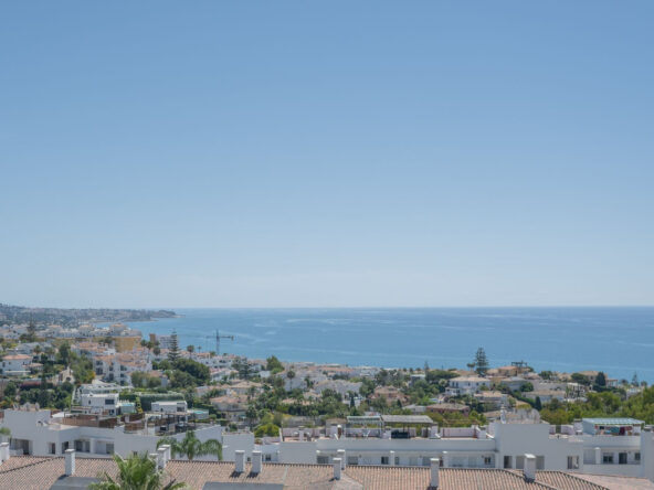 FFM 0001 01