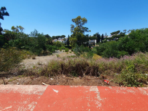 P7534 01
