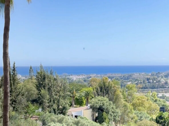 R4437433 01