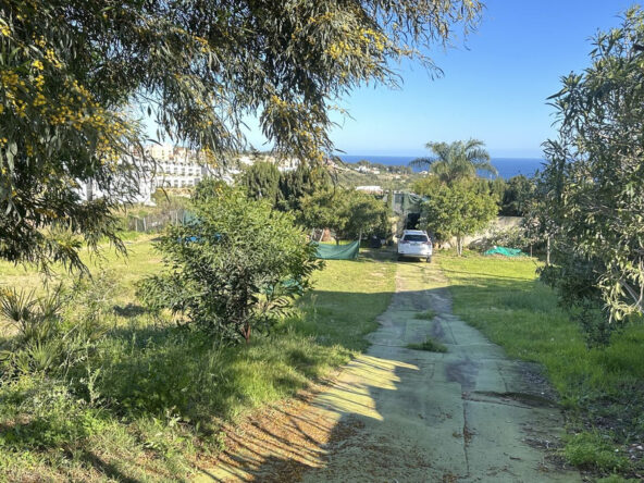 R5003158 01