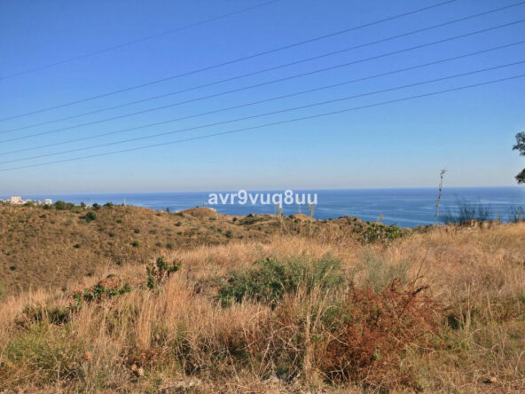 R3049675 01