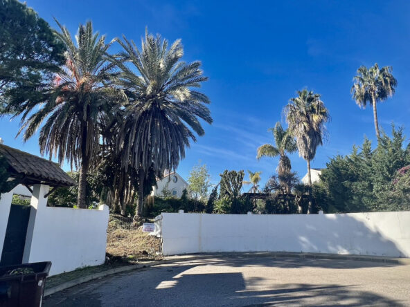 R5058154 01