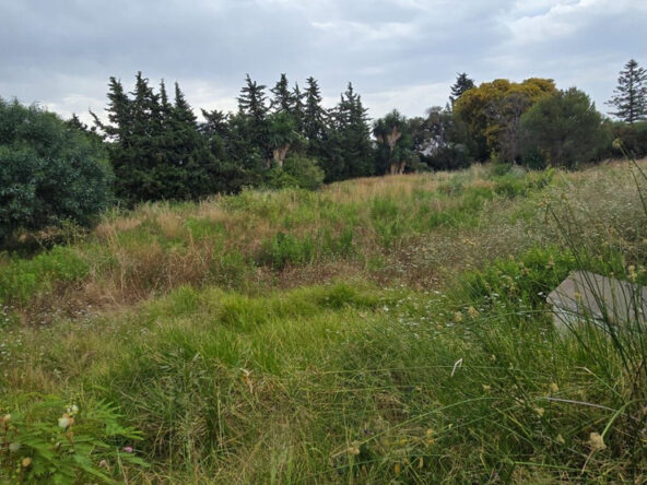 R5066761 01