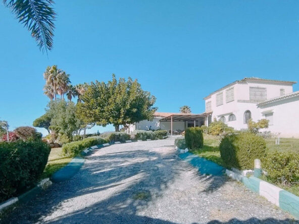 R5154985 01